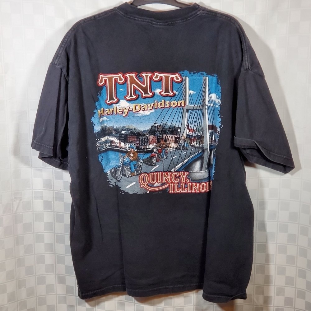 Harley Davidson Lone Rider - Picture 2 of 3